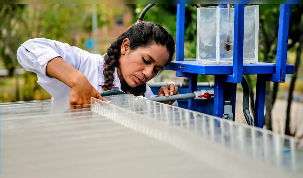 Ayacucho: ingeniera peruana inventa prototipo para purificar el agua 