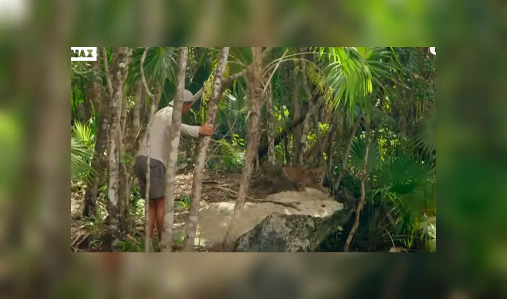 Desliza hacia la izquierda para ver el encuentro de un turista con un feroz animal, escena viral de YouTube. Desliza hacia la izquierda para ver el encuentro de un turista con un feroz animal, escena viral de YouTube.