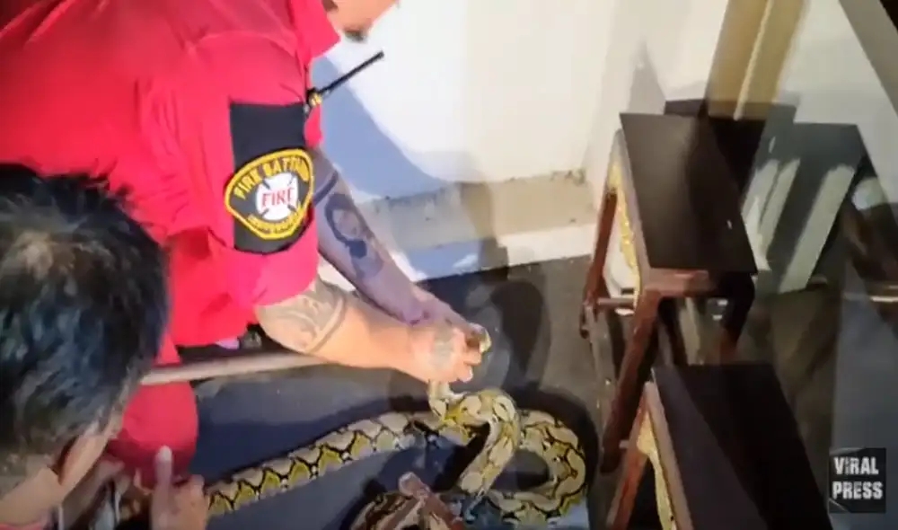 Desliza hacia la izquierda para ver las imágenes del viral de YouTube. Foto: Viral Press.