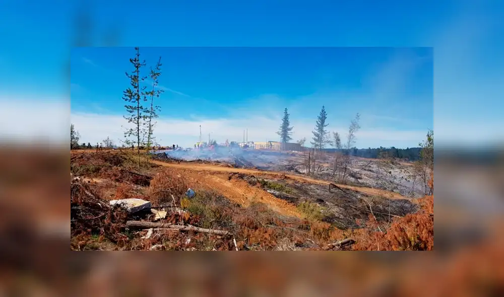 Chile declara alerta roja en Valparaíso por incendio forestal “intencional”