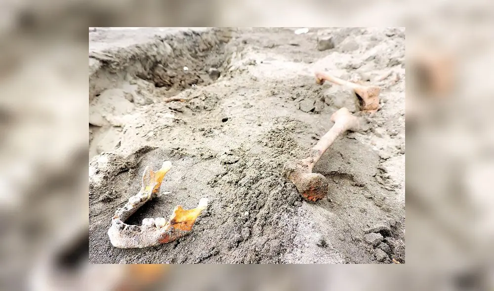 Descubren templo Moche y guerreros sacrificados en Huanchaco