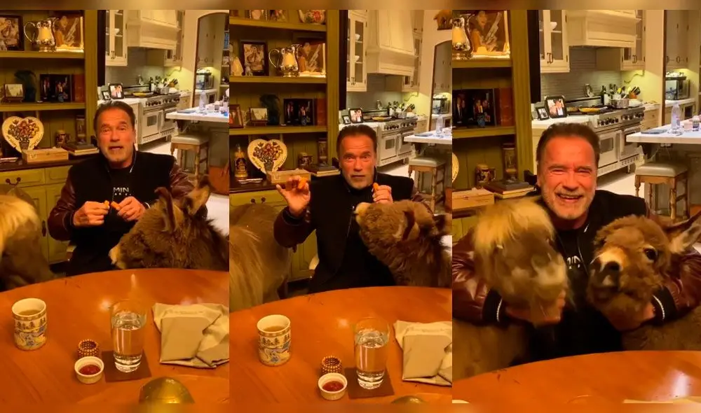 Arnold Schwarzenegger se aísla en su hogar de California, junto a sus animales. Foto: Instagram Arnold Schwarzenegger se aísla en su hogar de California, junto a sus animales. Foto: Instagram
