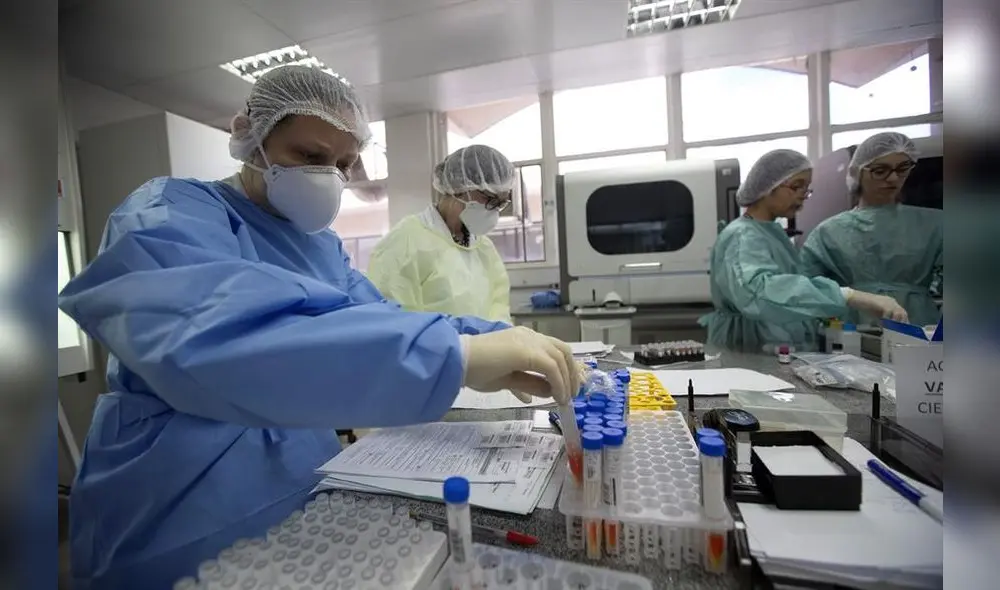Proyecto es desarrollado por una “startup” tecnológica creada por investigadores de la USP. Foto: EFE. Proyecto es desarrollado por una “startup” tecnológica creada por investigadores de la USP. Foto: EFE.