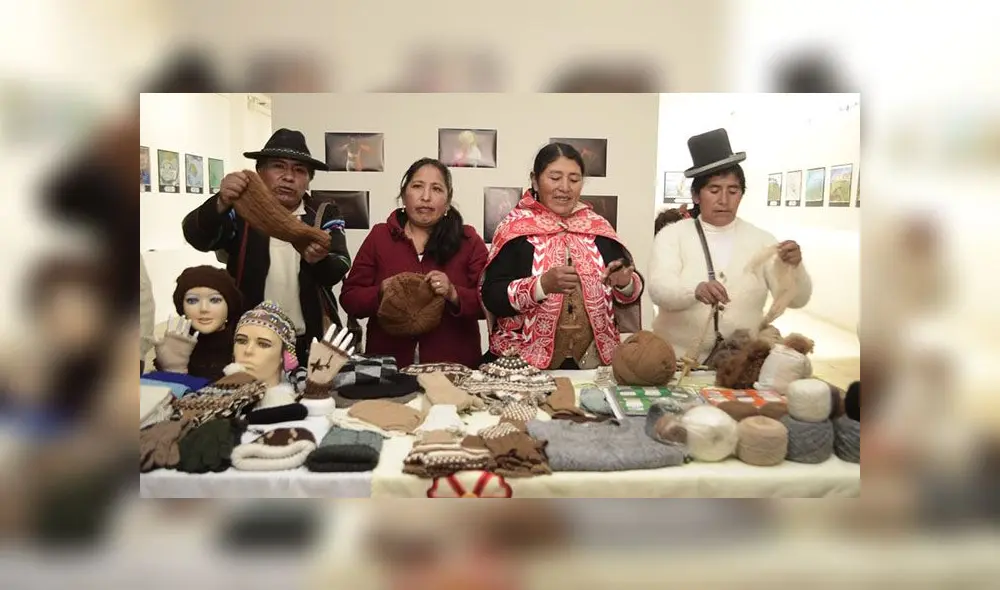 Exhibirán novedosas prendes hechas de fibra de alpaca en Puno
