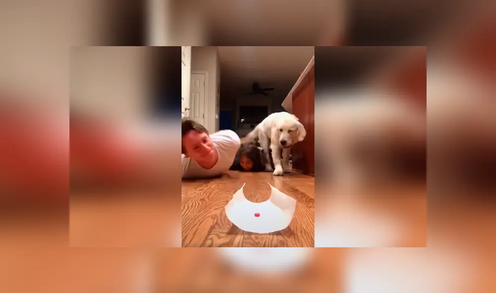 Desliza las imágenes para apreciar la travesura que cometió un perro al interrumpir la competencia de sus dueños. Foto: Captura.