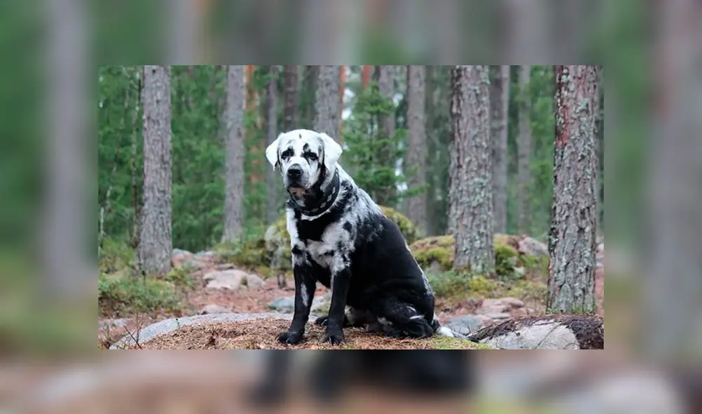 Desliza la imagen de Facebook para ver todas las fotos. Desliza la imagen de Facebook para ver todas las fotos.