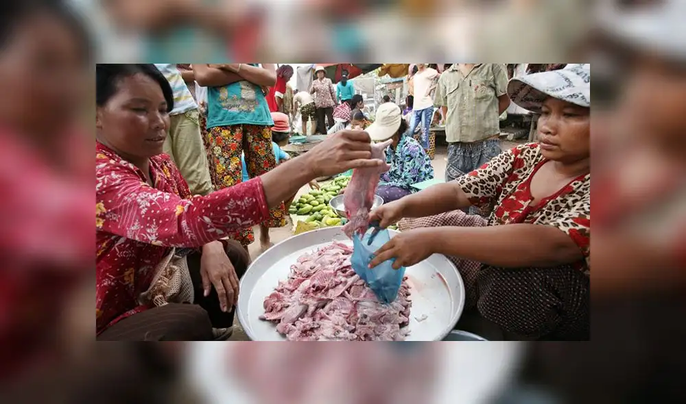 El comercio de ratas para consumo humano en Vietnam es común en mercados y restaurantes. Foto: AFP El comercio de ratas para consumo humano en Vietnam es común en mercados y restaurantes. Foto: AFP