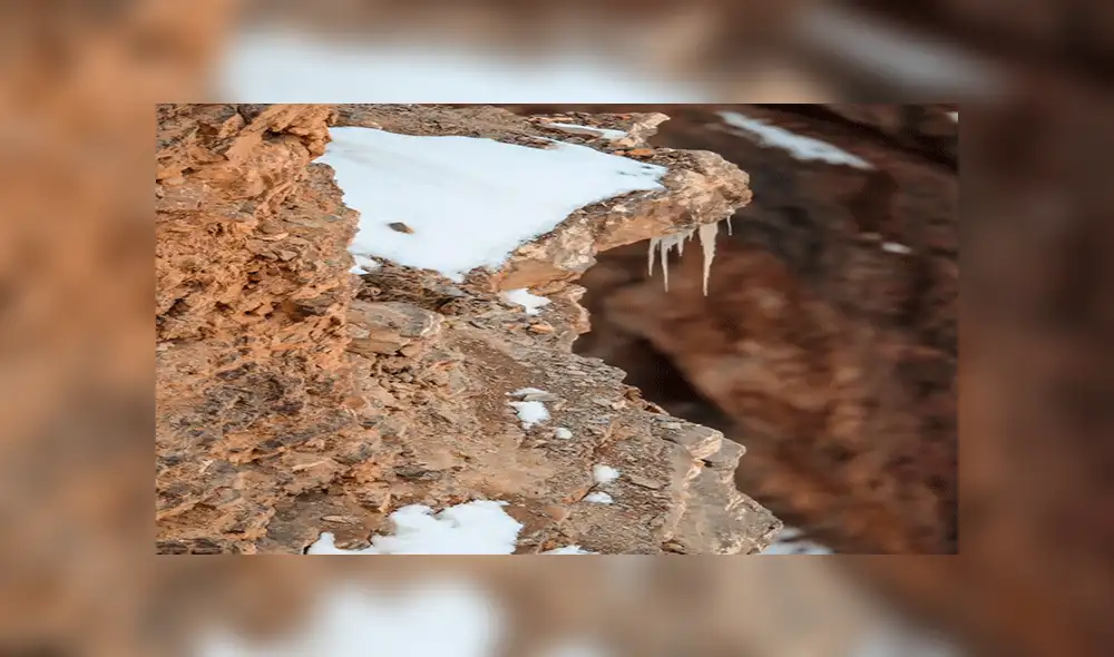 Facebook: el reto del leopardo, un viral que muy pocos han podido resolver [FOTO]