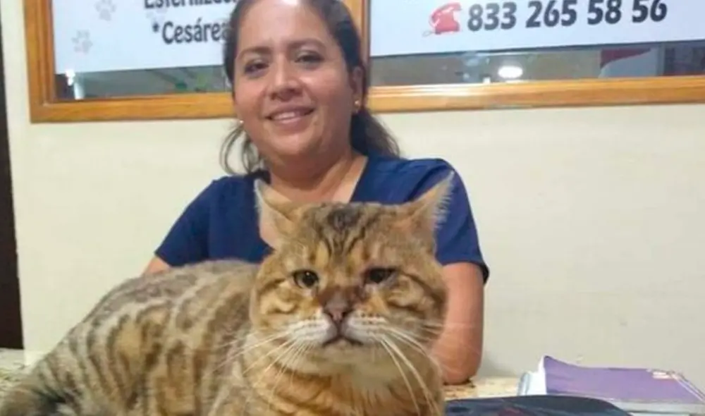 Esta exótica especie tiene un costo de aproximadamente 2.000 dólares. Foto: captura de Facebook