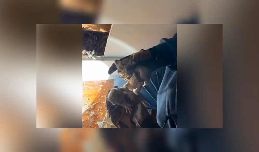 Desliza para ver todas las imágenes de Facebook. Foto: captura