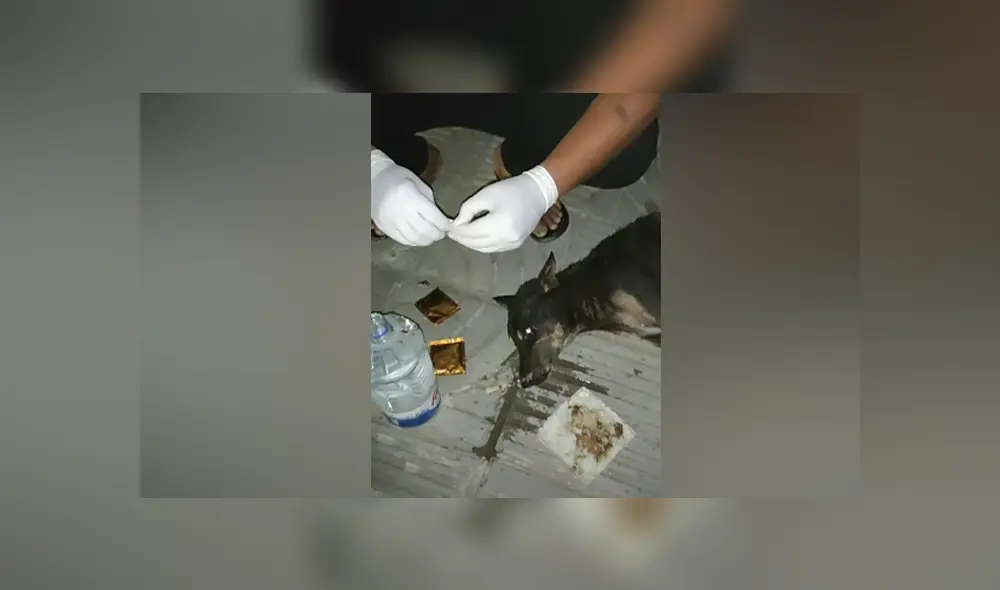 Desliza hacia la izquierda para ver las imágenes del viral de YouTube.