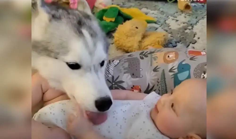 Desliza hacia la izquierda para ver las imágenes del video viral. Foto: Captura de Facebook