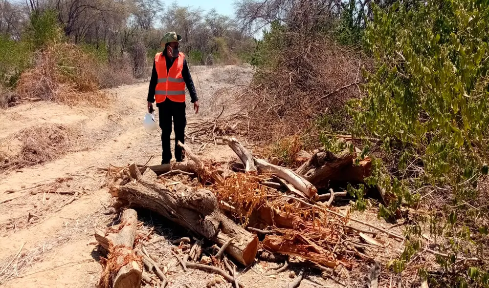 Denuncian presunto daño ambiental en terrenos de comunidad campesina de Olmos. (Foto: Policía Nacional)
