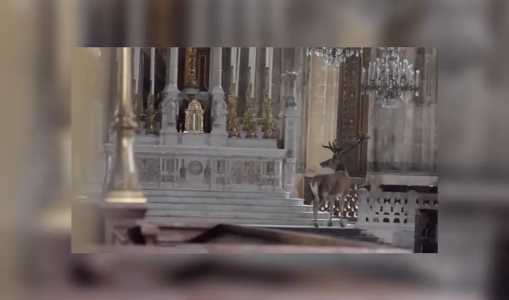 Desliza a la izquierda para conocer más sobre este viral de YouTube. Foto: Captura. Desliza a la izquierda para conocer más sobre este viral de YouTube. Foto: Captura.