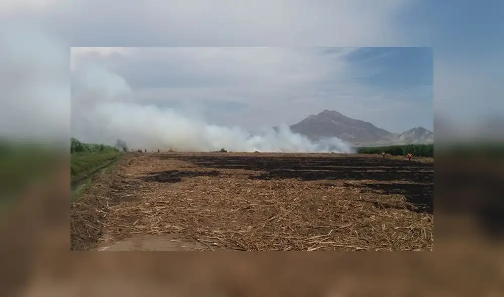 Trujillo: empresa quemaba terrenos de caña de azúcar  [VIDEO]