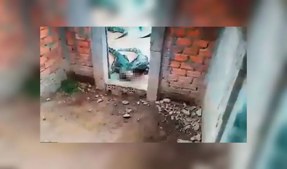 Momento en que dos cocodrilos pelean por los restos de Rom, la niña de dos años. Captura de video/AsiaWire.