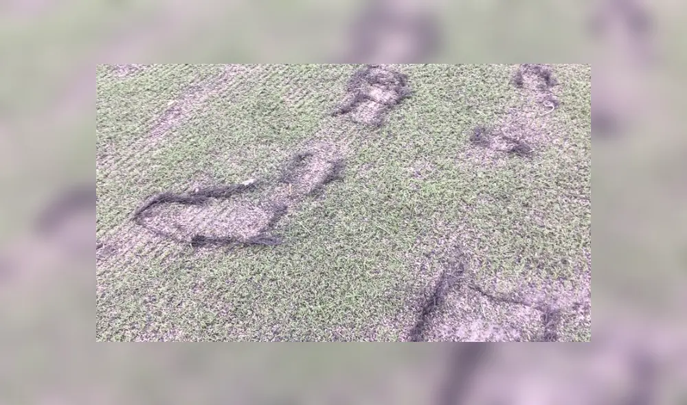 El Estadio Lolo Fernández está en malas condiciones y el equipo femenino de Universitario de Deportes se ve afectado.