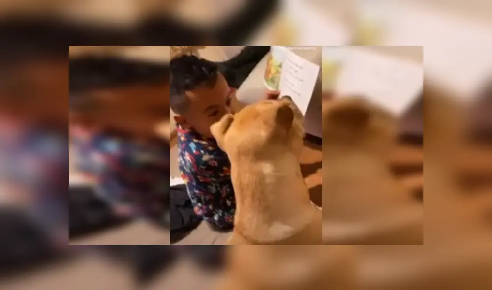 Desliza las imágenes para ver más detalles de esta escena que es viral en YouTube. Desliza las imágenes para ver más detalles de esta escena que es viral en YouTube.