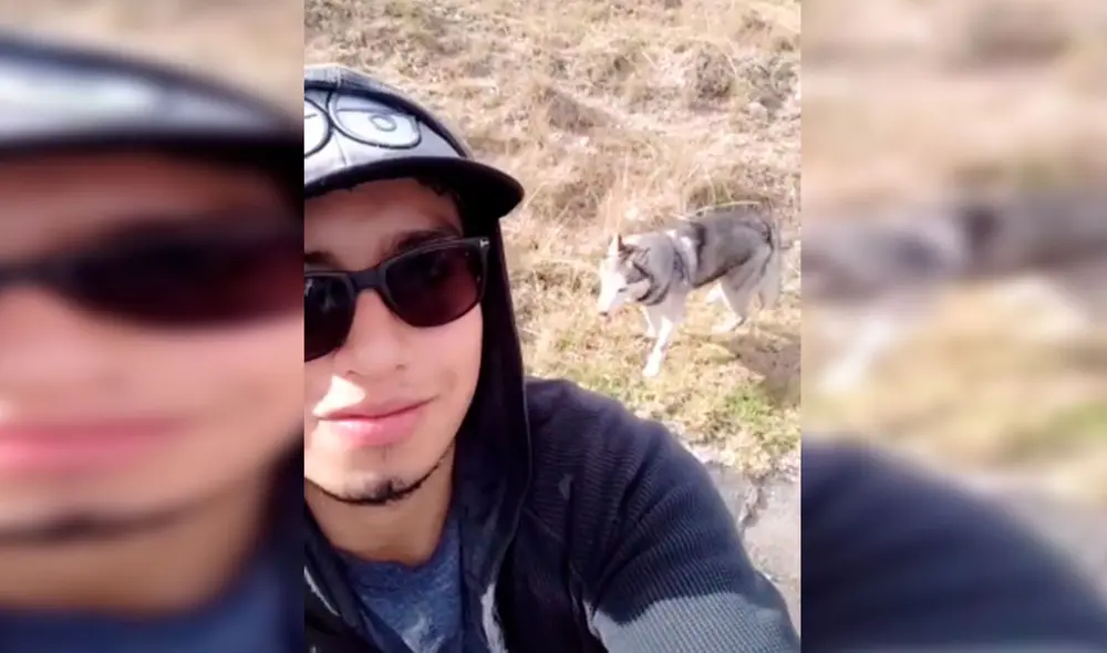 Desliza las imágenes para conocer la historia de un perro que consiguió un nuevo hogar al acogido de la calle. Foto: Captura de Facebook