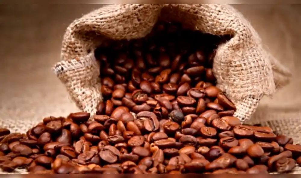 Sector cafetalero sumará su tercer año en pérdidas Sector cafetalero sumará su tercer año en pérdidas