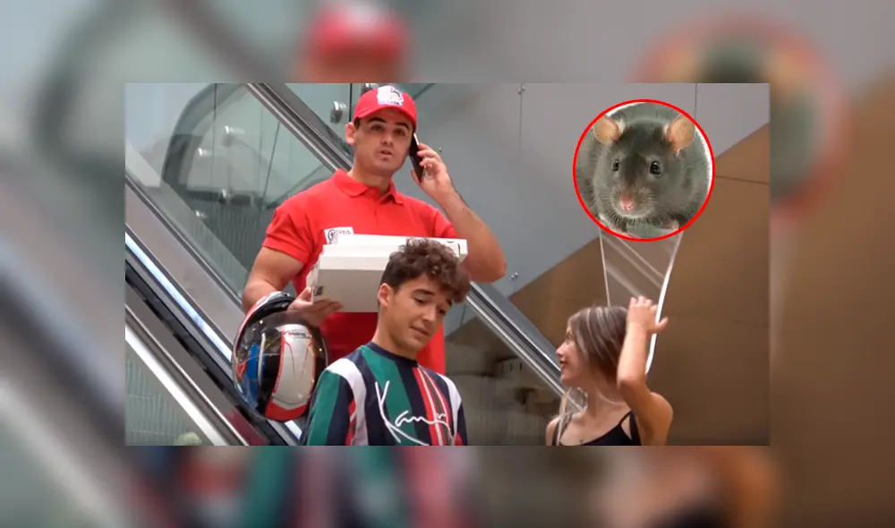 En una de las fingidas llamadas pidió que quiten las ratas de la cocina del supuesto local. Foto : captura. En una de las fingidas llamadas pidió que quiten las ratas de la cocina del supuesto local. Foto : captura.