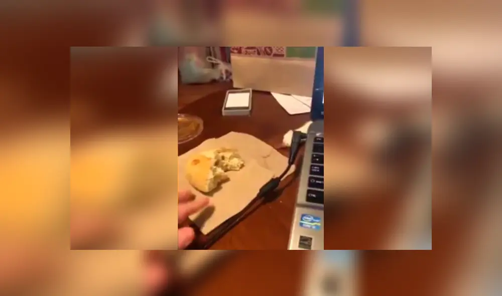 Desliza las imágenes hacia la izquierda para apreciar la sorpresa que se llevó un joven saber quien se robaba sus panes. Desliza las imágenes hacia la izquierda para apreciar la sorpresa que se llevó un joven saber quien se robaba sus panes.