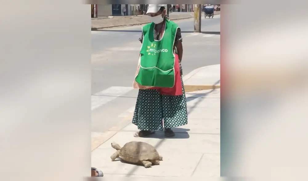 Anciana vende tortuga Anciana vende tortuga