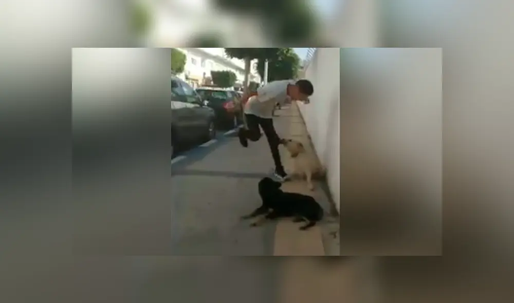 Desliza para ver los momentos más divertidos del video que se hizo viral en Facebook. Desliza para ver los momentos más divertidos del video que se hizo viral en Facebook.