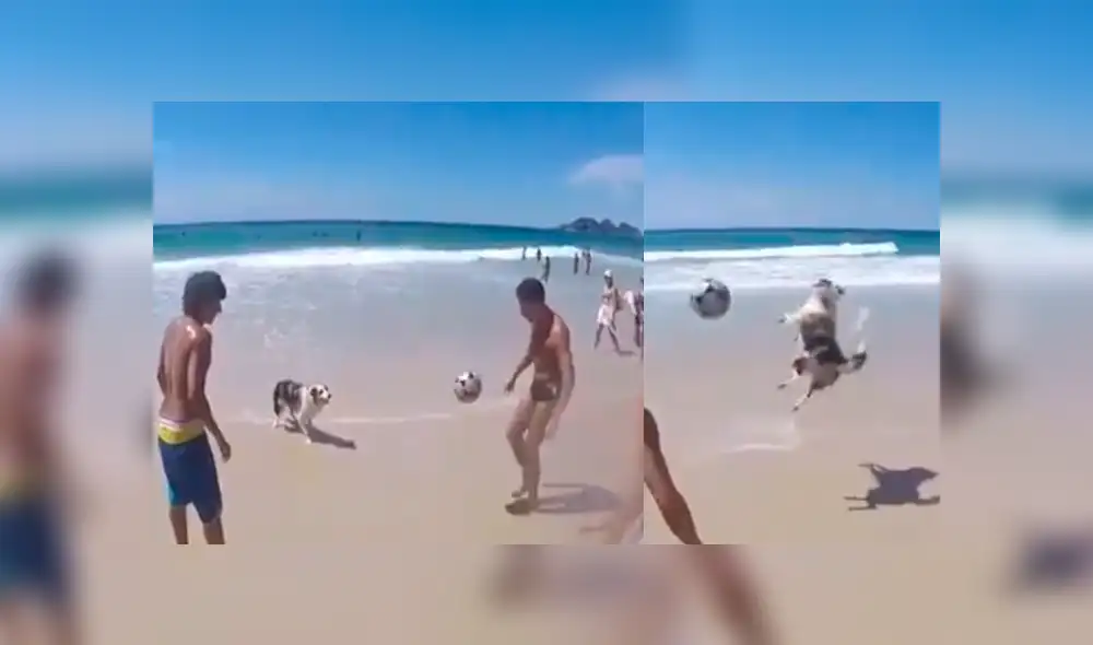 Facebook: Perro ‘futbolista’ sorprende al mundo con su talento para el deporte [VIDEO]