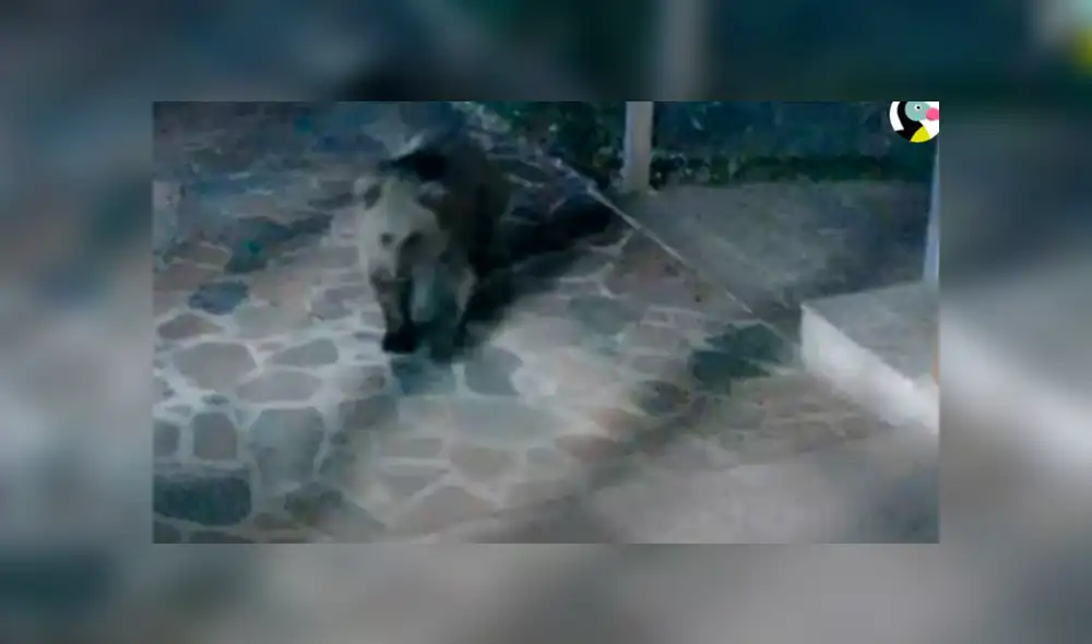 Desliza hacia la izquierda para ver las imágenes del viral de Facebook. Desliza hacia la izquierda para ver las imágenes del viral de Facebook.