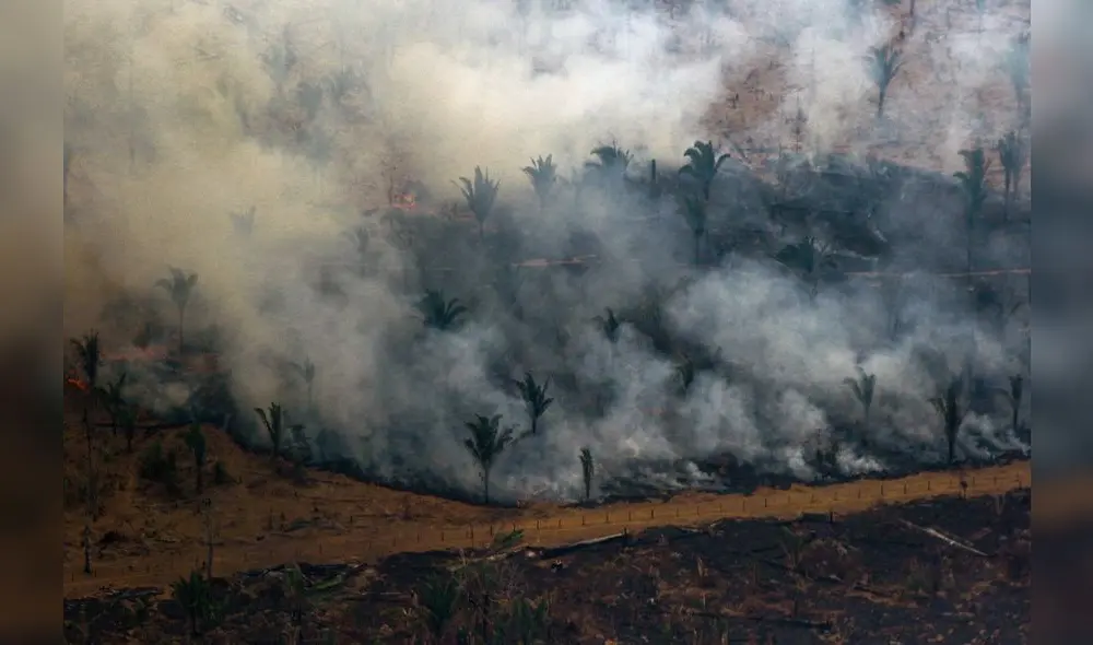 Vista aérea de bosque en los alrededores de Boca do Acre, una ciudad en el estado de Amazonas, en la cuenca del Amazonas en el noroeste de Brasil.