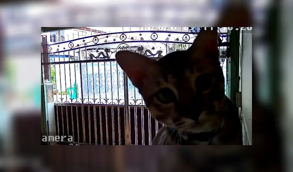 Desliza hacia la izquierda para ver las imágenes del viral de YouTube. Desliza hacia la izquierda para ver las imágenes del viral de YouTube.