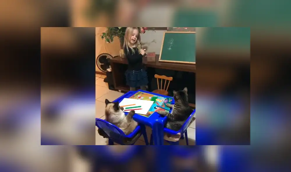 Desliza las imágenes hacia la izquierda para conocer el emotivo momento de una pequeña junto a sus mascotas. Desliza las imágenes hacia la izquierda para conocer el emotivo momento de una pequeña junto a sus mascotas.