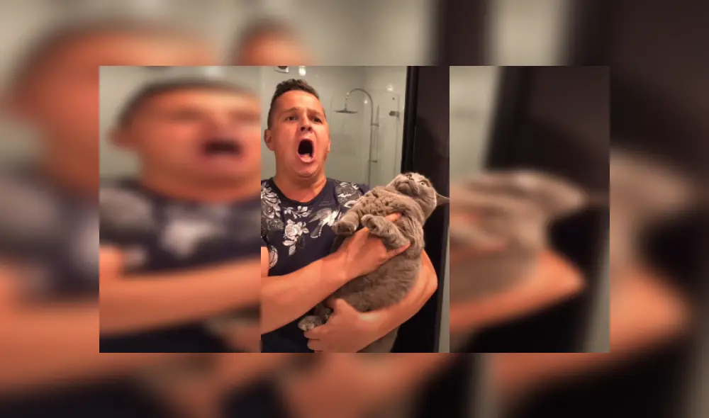 Desliza las imágenes para ver más detalles de esta escena que es viral en YouTube. Desliza las imágenes para ver más detalles de esta escena que es viral en YouTube.