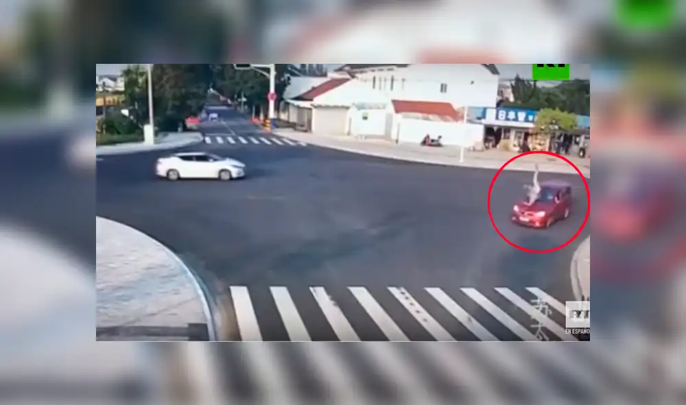 El can fue testigo del terrible accidente que sufrió un peatón por cruzar mal la pista y le dio una épica lección El can fue testigo del terrible accidente que sufrió un peatón por cruzar mal la pista y le dio una épica lección