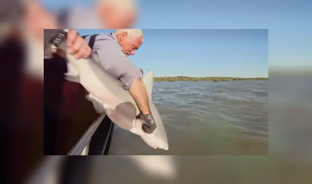 Desliza hacia la izquierda para el aspecto del tiburón toro. Imagen viral en YouTube.