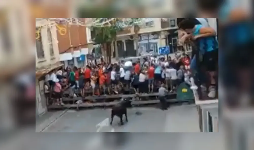 José Vicente Adrián Ferrando murió tras las cornadas del toro. Foto: Difusión José Vicente Adrián Ferrando murió tras las cornadas del toro. Foto: Difusión