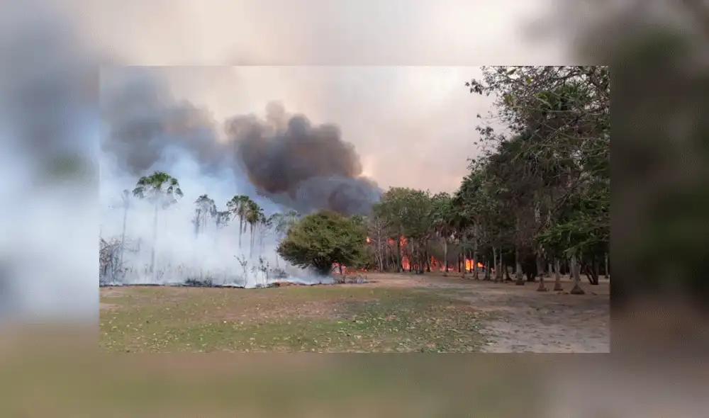 Tragedia en Amazonas: los últimos incendios forestales en Sudamérica [FOTOS Y VIDEOS]