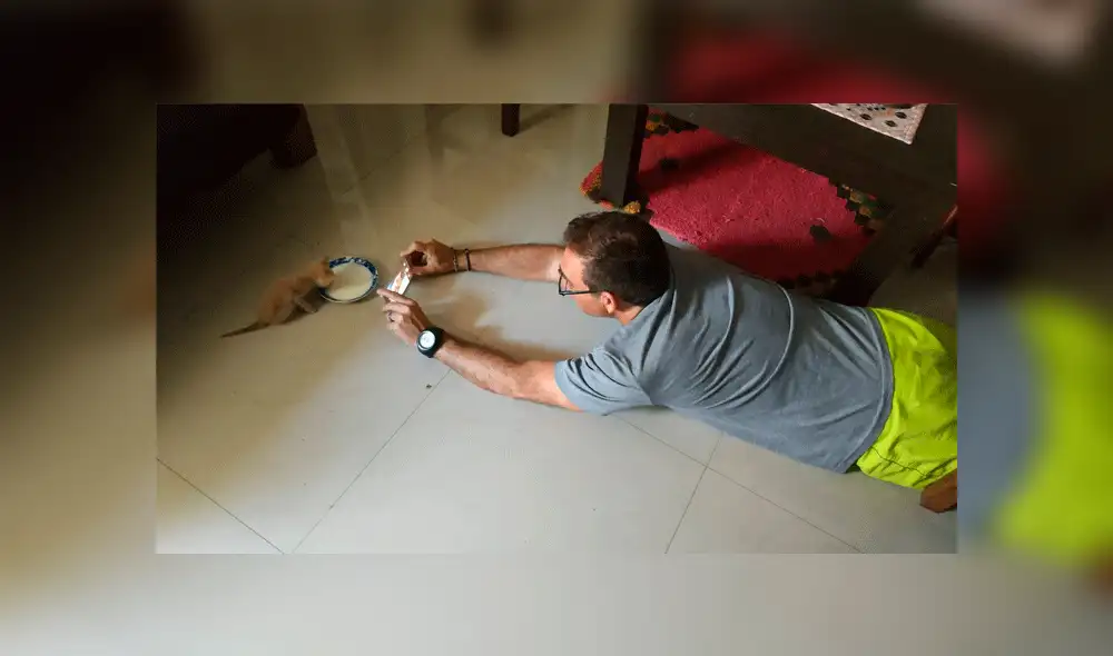 Facebook: "no traigas más gatos a casa" le dijo su padre y días después lo capta en tierna escena