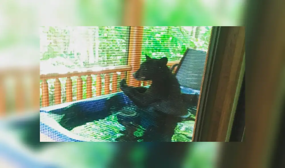 Facebook viral: Novios descubren gigantesca criatura bañándose en su jacuzzi y quedan en shock [VIDEO]