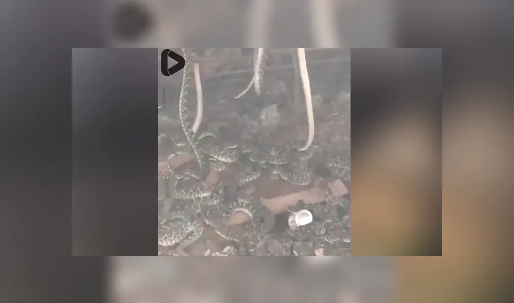 Desliza para ver los momentos más importantes de este aterrador video compartido en Facebook. Desliza para ver los momentos más importantes de este aterrador video compartido en Facebook.