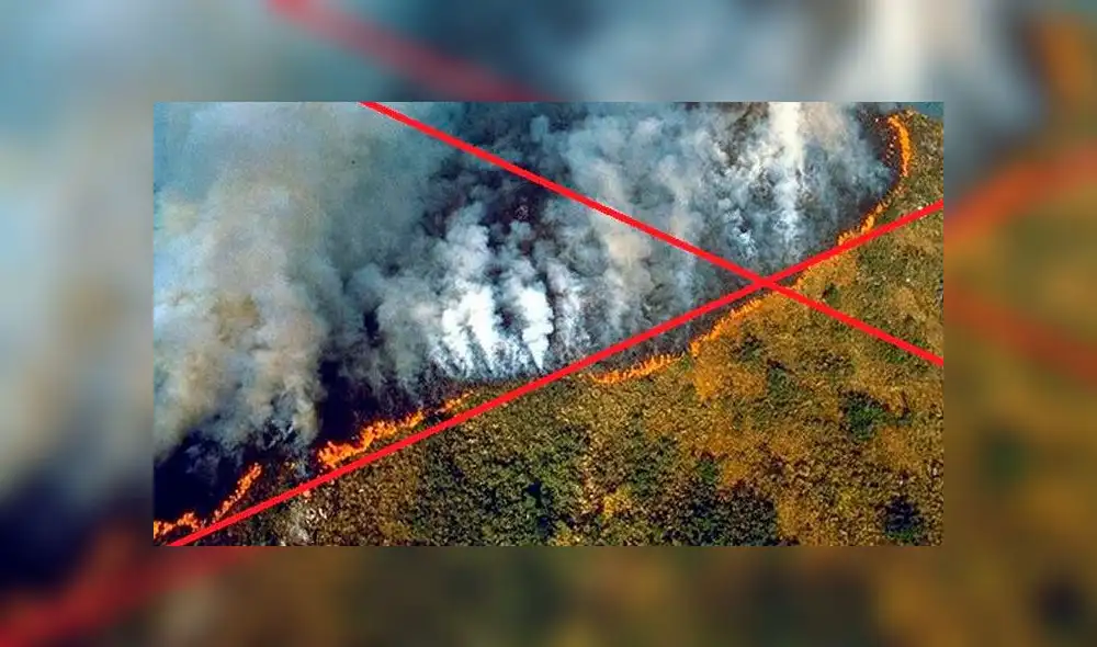 Imágenes falsas de los incendios en la Amazonía. Foto: AFP.