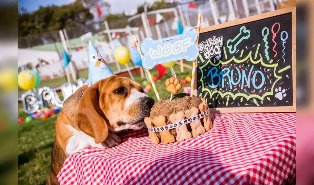 El negocio para engreír a las mascotas crece en el Perú