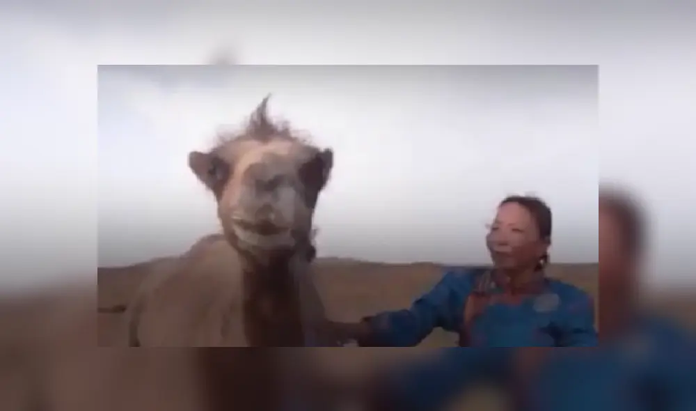 Desliza las imágenes para ver más sobre esta conmovedora historia de reencuentro que es viral en Facebook. (Foto: captura) Desliza las imágenes para ver más sobre esta conmovedora historia de reencuentro que es viral en Facebook. (Foto: captura)