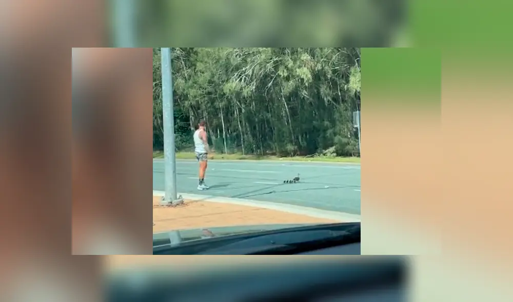 Desliza para ver todas las imágenes de Facebook. Foto: captura Desliza para ver todas las imágenes de Facebook. Foto: captura