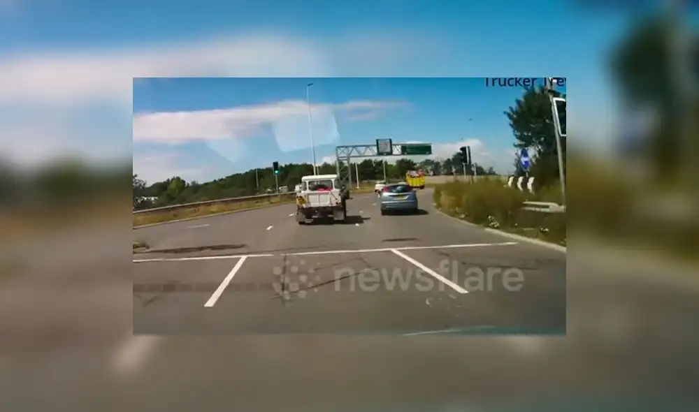 YouTube: Perro asoma la cabeza por la ventana en un vehículo en marcha, pero ocurre algo inesperado