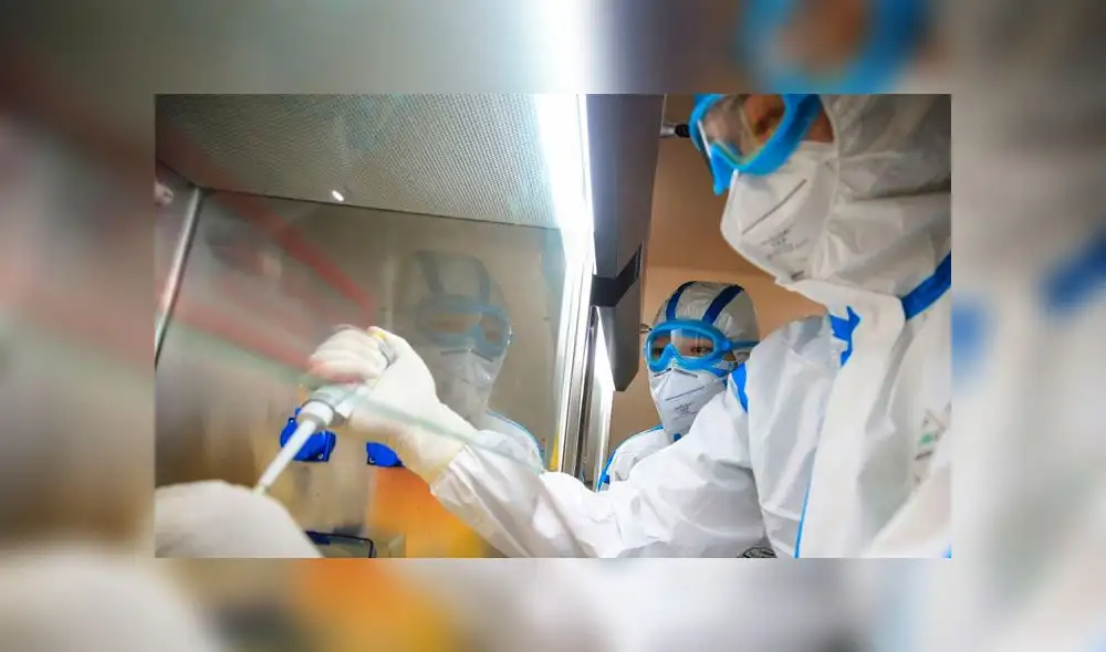 Tras el análisis de 103 genomas secuenciados, determinaron que el 70 % de las cepas era del tipo L, más virulento. Imagen referencial: AFP. Tras el análisis de 103 genomas secuenciados, determinaron que el 70 % de las cepas era del tipo L, más virulento. Imagen referencial: AFP.