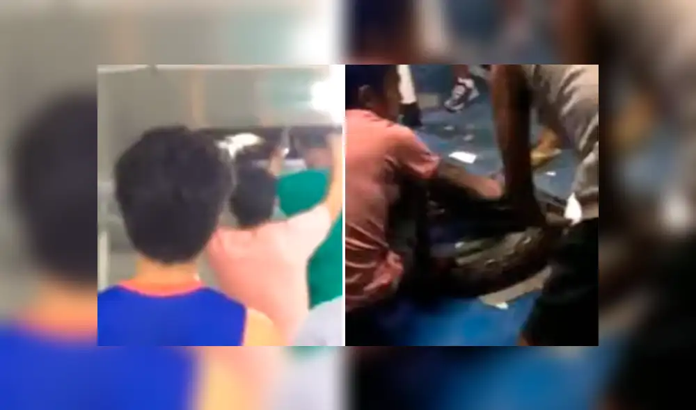 Desliza hacia la izquierda para ver el momento en que la serpiente cae dentro de un salón. Imagen viral de YouTube.