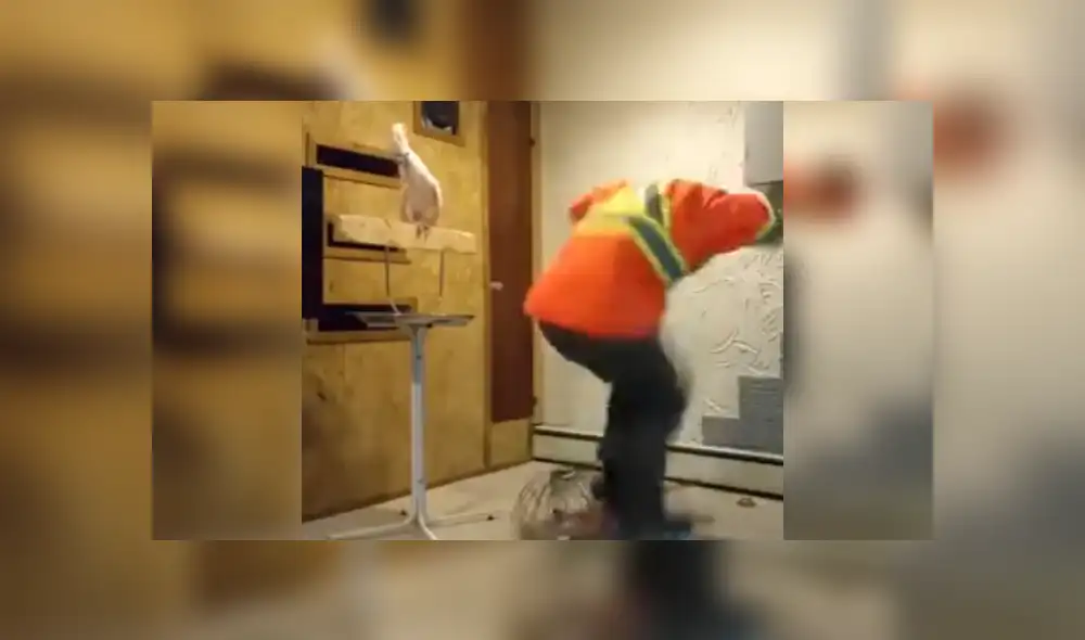 Desliza para ver el desenlace de este video viral publicado en YouTube. Foto: Captura.