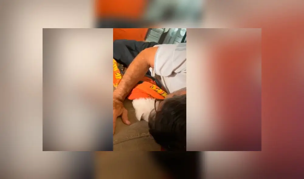 Desliza las imágenes para ver la emotiva escena que protagonizó este hombre al conocer al perro bebé que adoptó su familia. Foto: TikTok Desliza las imágenes para ver la emotiva escena que protagonizó este hombre al conocer al perro bebé que adoptó su familia. Foto: TikTok